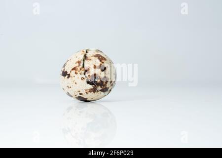 Wachteleierschale nach der Geburt, das Aussehen der Eierschale nach der Geburt des Wachtelkindes. Stockfoto