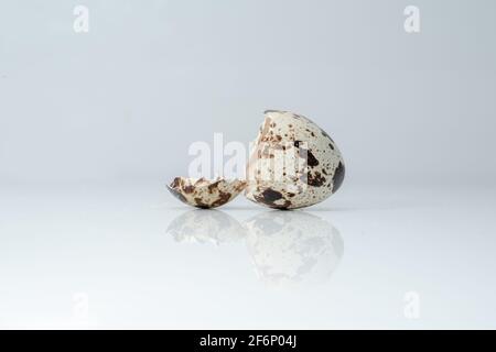 Wachteleierschale nach der Geburt, das Aussehen der Eierschale nach der Geburt des Wachtelkindes. Stockfoto