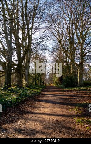 Ein Blick auf den Fußweg, der zur Findon Village Church führt und auch einen Teil des Monarch's Way Fernwanderwegs - Findon, West Sussex, Großbritannien. Stockfoto