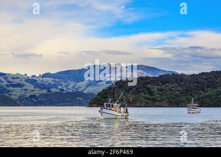 Fischerboote auf Akaroa Harbour, Neuseeland, mit den Bergen der Banks Peninsula im Hintergrund Stockfoto