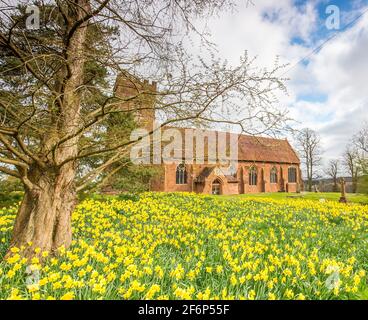 Stourbridge, Großbritannien. April 2021. Wetter in Großbritannien: Nach einem kalten Start sehen die meisten Midlands heute Morgen einige sonnige, helle Zaubersprüche, obwohl die Temperaturen an diesem Karfreitag nicht weit über 11-12 Grad Celsius erreichen werden. Noch in der Covid-19-Sperre wiegen diese schönen goldenen Narzissen sanft in der nordöstlichen Brise, ungestört von einer merklich abwesenden Kirchengemeinde. Kredit: lee Hudson/Alamy Live Nachrichten Stockfoto