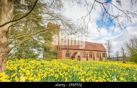 Stourbridge, Großbritannien. April 2021. Wetter in Großbritannien: Nach einem kalten Start sehen die meisten Midlands heute Morgen einige sonnige, helle Zaubersprüche, obwohl die Temperaturen an diesem Karfreitag nicht weit über 11-12 Grad Celsius erreichen werden. Noch in der Covid-19-Sperre wiegen diese schönen goldenen Narzissen sanft in der nordöstlichen Brise, ungestört von einer merklich abwesenden Kirchengemeinde. Kredit: lee Hudson/Alamy Live Nachrichten Stockfoto