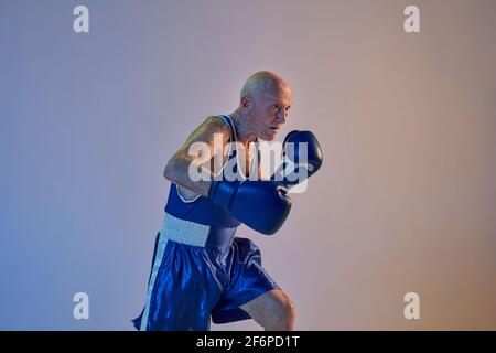 Senior Mann trägt Sportkleidung Boxen isoliert auf Gradienten Studio Hintergrund in Neonlicht. Konzept von Sport, Aktivität, Bewegung, Wohlbefinden. Copyspace Stockfoto