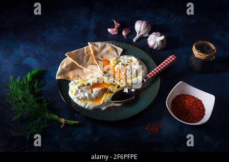 Schale mit Türkischen Cilbir Eier, Joghurt, pochierte Eier, Knoblauch, Chili, frischer Dill und zerlassener Butter. Verziert mit wenigen Stücke von lavash Brot ein Stockfoto