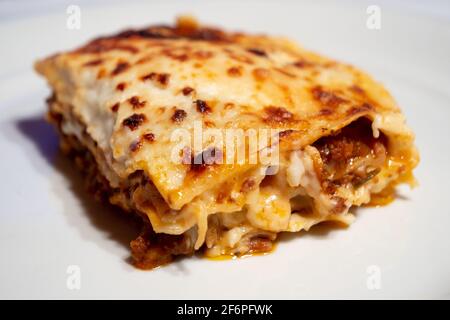 Lasagne alla Bolognese, gebacken mit Fleisch Ragu auf einem weißen Teller Stockfoto