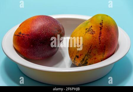 Frische rosa Mangofrucht auf blauem Hintergrund. Obst reich an Ballaststoffen und Protein-Quelle. Natürliche Nahrung und Entgiftung. Zutat für kulinarische Säfte und Sahne Stockfoto