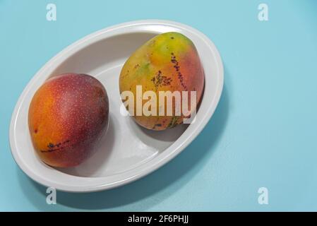 Frische rosa Mangofrucht auf blauem Hintergrund. Obst reich an Ballaststoffen und Protein-Quelle. Natürliche Nahrung und Entgiftung. Zutat für kulinarische Säfte und Sahne Stockfoto