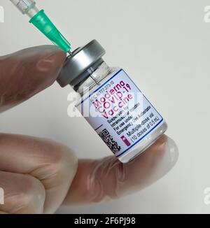 Moderna-Impfstoff gegen Coronavirus. Arzt mit Handschuhen bereitet sich auf die Injektion.von moderna-Impfstoff in der Klinik.Immunisierung Gesundheitswesen medizinisches Konzept Stockfoto