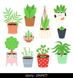 Handgezeichnete Zimmerpflanzen Sammlung Vektor-Illustration. Stock Vektor