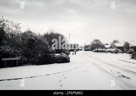 Frau in der Ferne, Wanderhund auf schneebedeckter Vorstadtstraße im Winter. Stockfoto