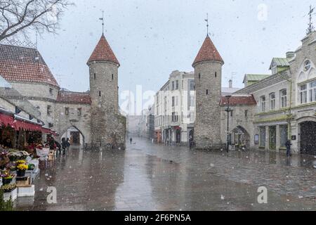 Tallinn, Estland, 18. März 2021: Das alte Tallinn im Schneesturm Stockfoto