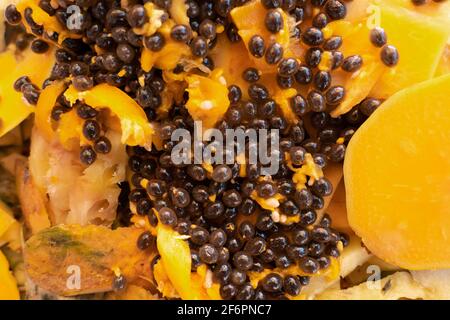 Nahaufnahme der gelb orange geschnittenen Papaya mit glänzenden und glasigen Samen. Das Obst oder Gemüse auf dem Display zum Verkauf in einem Markt. Stockfoto