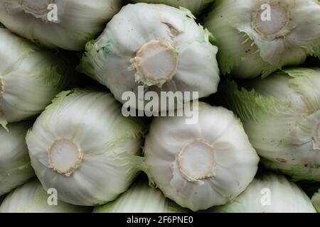 Schön angeordnete Schichten von frischem Salat auf dem Display in einem Markt zum Verkauf Stockfoto