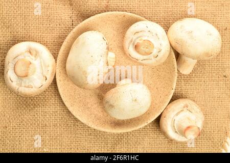 Ein paar ganze frische Bio-Champignons, die das Wasser im Mund zusammenlaufen lassen, mit einer Keramikuntertasse auf einer Jute-Serviette. Stockfoto