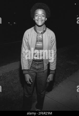 Todd Bridges um die 1980er Jahre Credit: Ralph Dominguez/MediaPunch Stockfoto