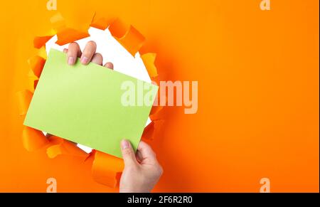 Grünes Blatt mit der Hand und Platz für die Gestaltung durch Loch in geripptem orangefarbenem Papier. Stockfoto