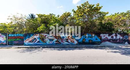 Farbenfrohe Straßenkunst in einer kleinen Stadt an Gartenmauern entlang des Gehwegs, mit grünen tropischen Bäumen im Hintergrund entlang der Wand. Stockfoto