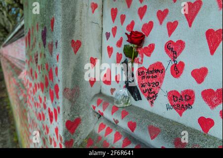 London, Großbritannien. Die nationale Covid Memorial Wall vor dem St. Thomas' Hospital. April 2021. Kredit: Guy Bell/Alamy Live Nachrichten Stockfoto