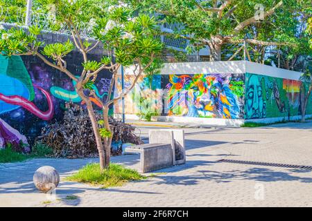 Künstlerische Wände mit Gemälden und Graffiti in Playa del Carmen Quintana Roo Mexiko. Stockfoto