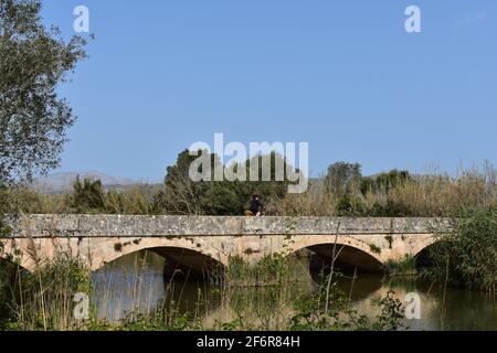 Steinbrücke in S'Albufera de Mallorca. Stockfoto