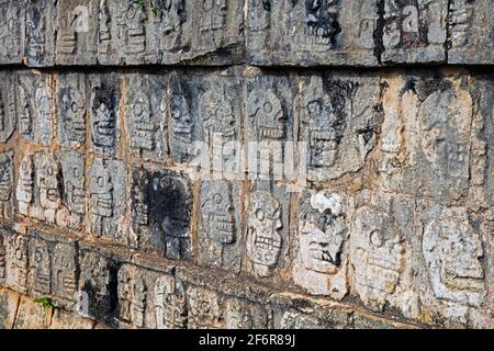 Tzompantli / Skull Platform / Plataforma de los Cráneos, Relief mit Schädeln in der präkolumbianischen Stadt Chichen Itza, Yucatán, Mexiko Stockfoto