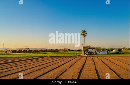 Blick auf landwirtschaftlichen Flächen und Gebäude in der Nähe von Valencia vor Sonnenuntergang. Spanien Stockfoto