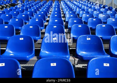 Blaue Sitze im Stadion Stockfoto