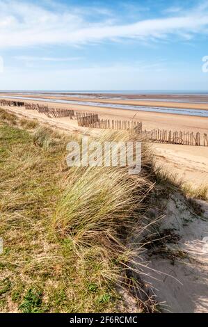 Ein leerer Holme-next-the-Sea Strand, North Norfolk. Nordseeküste mit Dünen bedeckt mit Marrammgras, Ammophila arenaria. Stockfoto