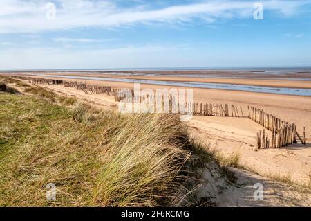 Ein leerer Holme-next-the-Sea Strand, North Norfolk. Mit Marrammgras bedeckte Dünen, Ammophila arenaria. Stockfoto