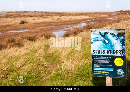 Ein BDMLR-Schild am Holme Dunes Naturschutzgebiet warnt die Menschen davor, sich Robben aus dem Wasser zu nähern. Stockfoto