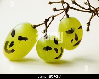 Lustige Gesichter auf Trauben Stockfoto