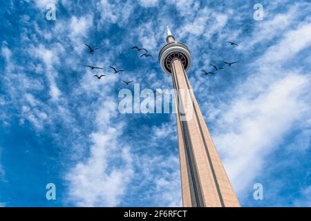 CN Tower in Toronto, Kanada Stockfoto