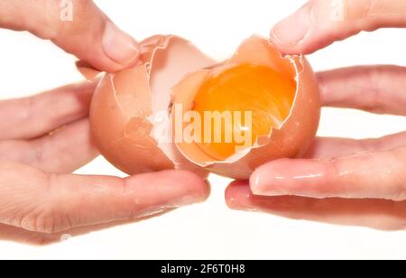 Kuchenherstellung: Hände öffnen ein Ei mit einem roten Eigelb im Inneren mit einem weißen Hintergrund. Nahaufnahme. Rom, Italien, 1. Mai 2020 Stockfoto