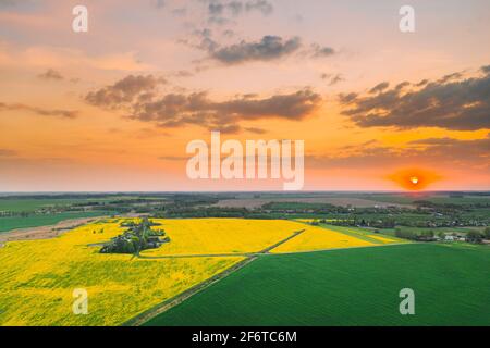 Luftaufnahme Von Grüner Wiese Und Feld Mit Blühenden Canola Yellow Flowers. Blick Von Oben Auf Die Blütenpflanze, Die Landschaft Mit Raps-Wiesengras Bei Sonnenuntergang Stockfoto