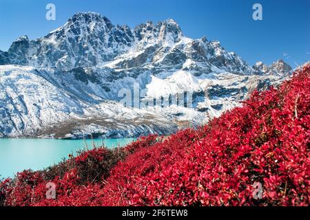 Dudh pokhari Gokyo See und Phari Lapche Gipfel mit rotem Strauch, Khumbu Tal, Solukhumbu, Sagarmatha Nationalpark, Nepal Stockfoto