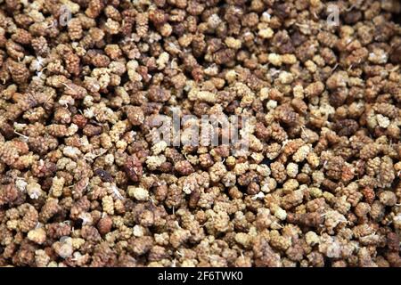 Getrocknete Maulbeere in den Delikatessen. Stockfoto