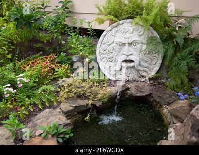 Uuusual Gartenwasser Feature mit Wasser fließt aus dem runden Gesicht des alten Mannes in Teich umgeben von Felsen und bunten Pflanzen, in Australien Stockfoto