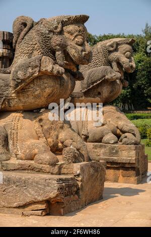 Detail des Sonnentempels wurde im 13th Jahrhundert errichtet und als ein gigantischer Wagen des Sonnengottes, Surya, in Konark, Odisha, Indien entworfen. Stockfoto