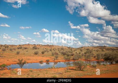 Wüstenlandschaft nach den jüngsten Regenfällen, gesehen vom Ghan-Zug südlich von Alice Springs, Northern Territory, Australien Stockfoto