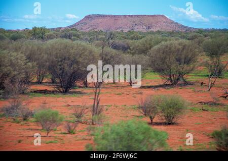 Wüstenlandschaft vom Ghan-Zug südlich von Alice Springs, Northern Territory, Australien Stockfoto