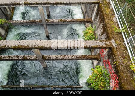 Blick von oben auf eine Fischleiter am Bonneville Dam auf Bradford Island in Oregon, USA Stockfoto