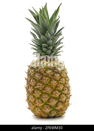 Frische tropische reife Ananas isoliert auf weißem Hintergrund Stockfoto