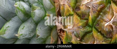 Nahaufnahme von Ananasblättern und Früchten, Hintergrund mit frischen tropischen Zirbeldrüsendetails Stockfoto