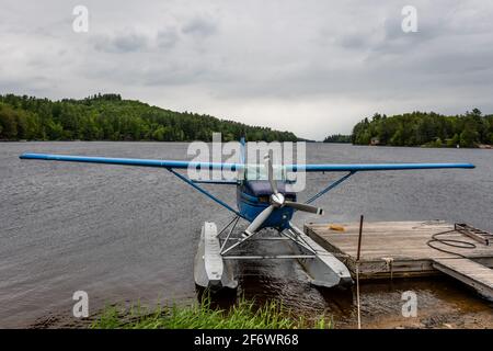 Kleines Wasserflugzeug, das an einem schwimmenden Ponton nahe dem Ufer eines Bergsees festgemacht ist. Adirondacks, NY Stockfoto