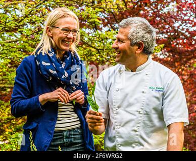 Am liebsten im Garten: Für José Graziosi beginnt der Arbeitstag mit einem „Gartenspaziergang“, denn es gibt immer Wildkräuter, die er in die Tageskarte mit einbezieht. Zum Beispiel wilder Sauerampfer, der zwischen dem wilden Knoblauch wächst Stockfoto