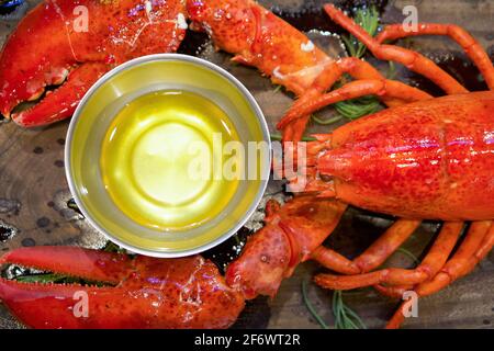 Der ganze Hummer dampft, serviert mit gezogener Butter auf Holzplatte. Nahaufnahme Stockfoto