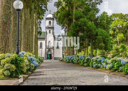 Kirche St. Nikolaus in Sete Cidades Azoren von zwei Reihen von Bäumen umgeben, Portugal Stockfoto