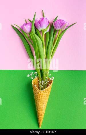 Bouquet von rosa Tulpen und Gypsophila in einem Eiskegel auf farbigem Hintergrund. Stockfoto