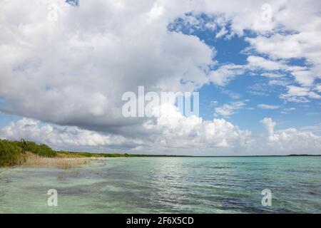 Blick über die Laguna Chunyaxche, eine Lagune in der Nähe von Tulum, Quintana Roo, Halbinsel Yucatan, Mexiko Stockfoto
