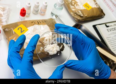 Spezialisierte Polizei überprüfen Drogen auf Petrischale im Kriminallabor, konzeptuelles Bild Stockfoto